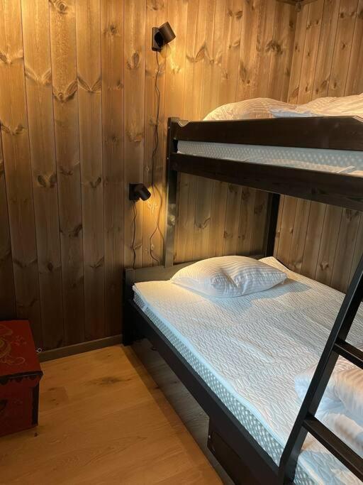 Ski In/Out, Amazing Views, 3 Bedrooms Noresund Екстериор снимка